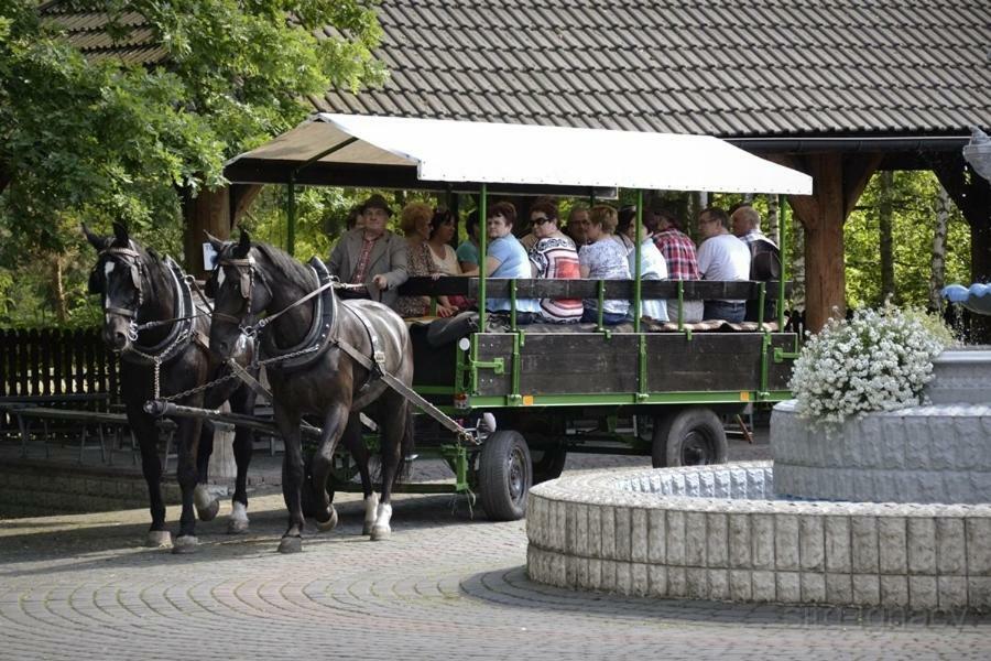 Rogow Park Lesny 'U Kaczyny'酒店 外观 照片